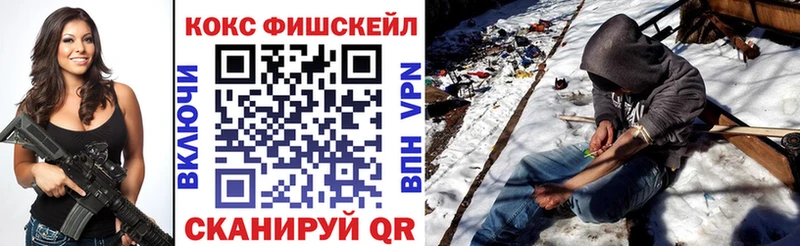 Купить закладки  Новоржев  КОКАИН FishScale 