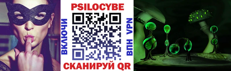 Купить где  Новоржев  Галлюциногенные грибы Psilocybe 